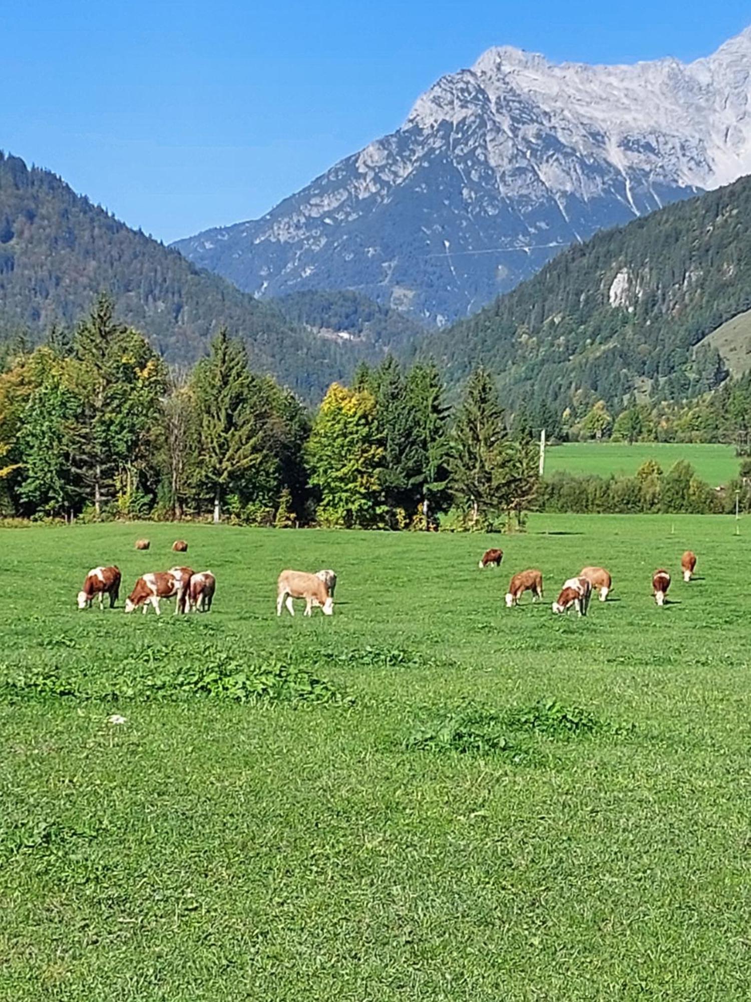 Ferienwohnungen Recherhof Hochfilzen Exterior photo